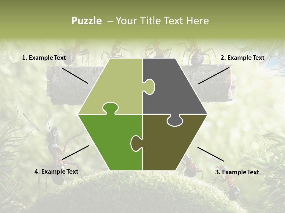 Heavy Clo Eup Fairytale PowerPoint Template