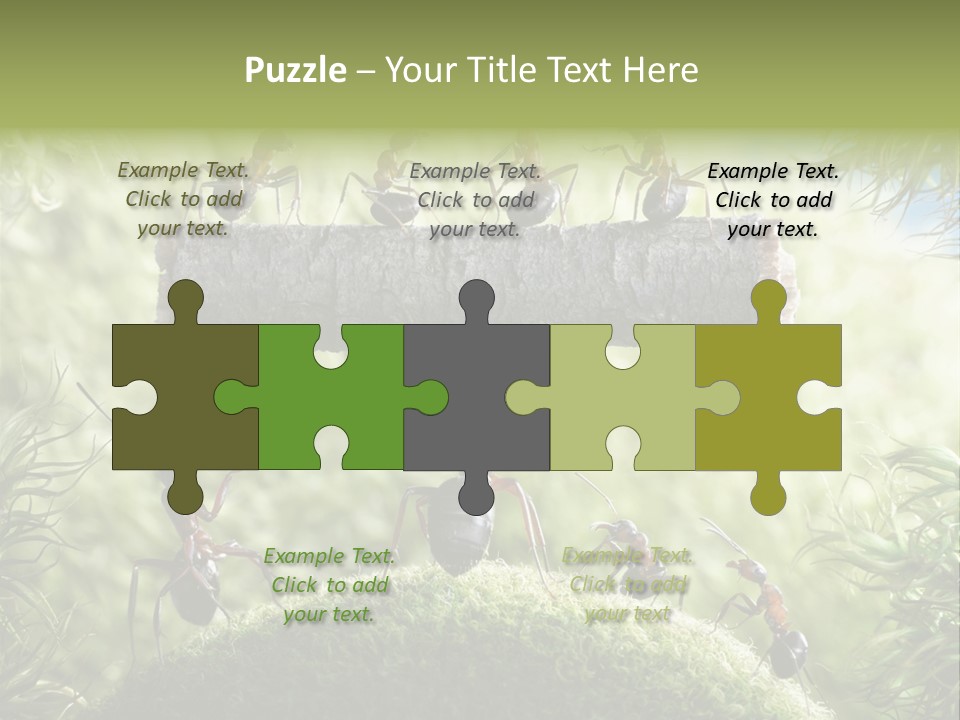 Heavy Clo Eup Fairytale PowerPoint Template