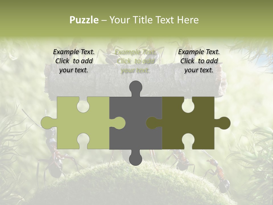 Heavy Clo Eup Fairytale PowerPoint Template