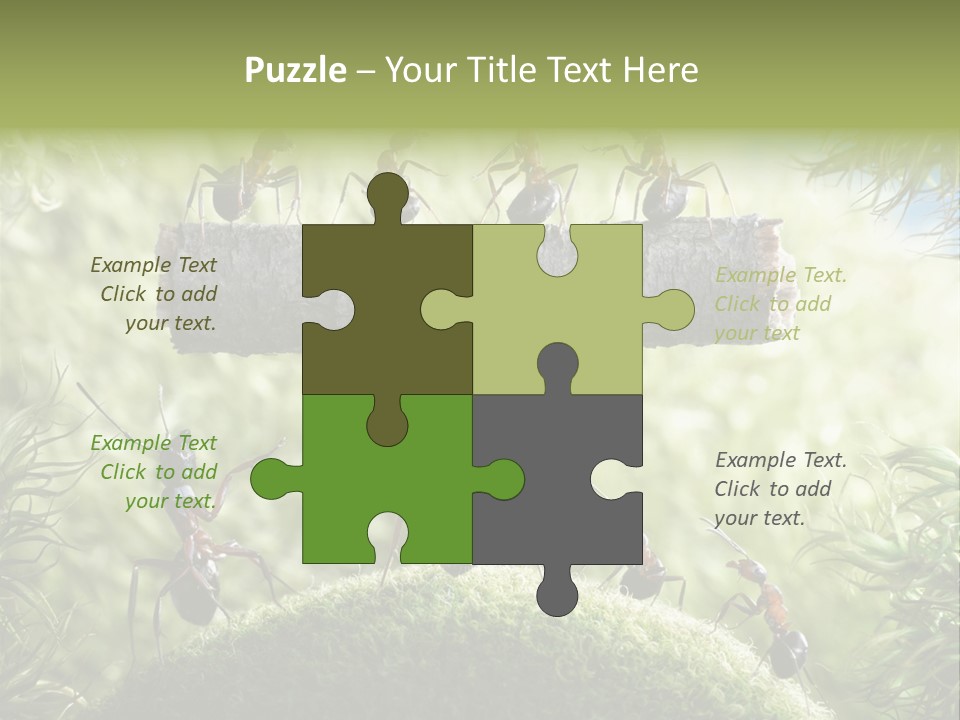 Heavy Clo Eup Fairytale PowerPoint Template