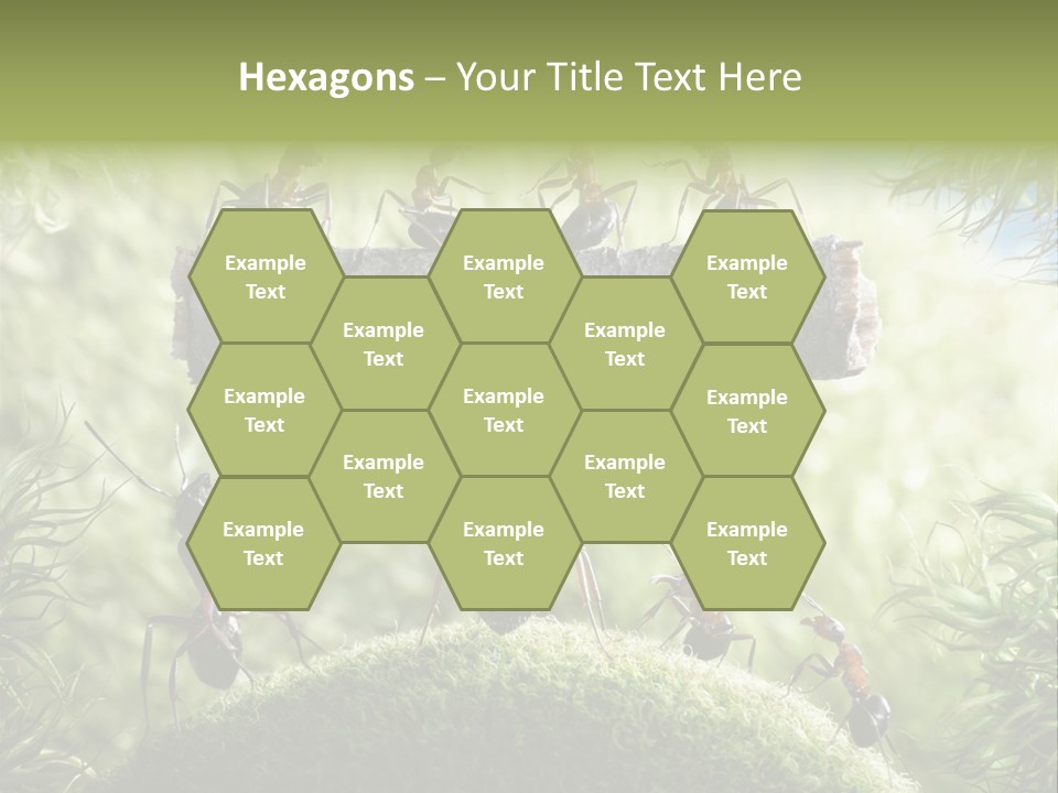 Heavy Clo Eup Fairytale PowerPoint Template