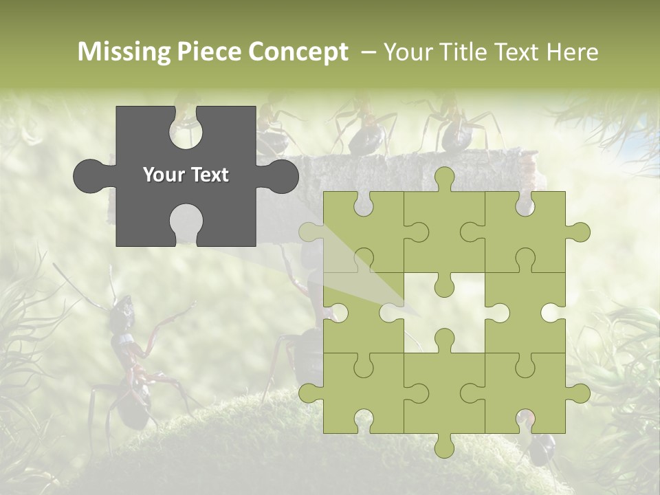 Heavy Clo Eup Fairytale PowerPoint Template