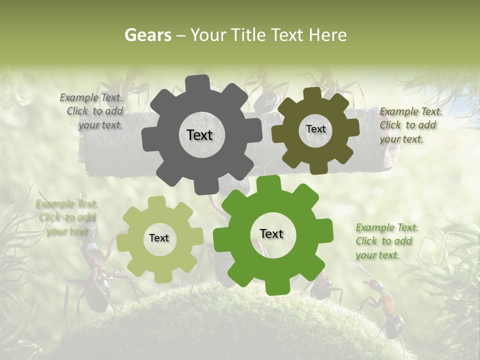 Heavy Clo Eup Fairytale PowerPoint Template