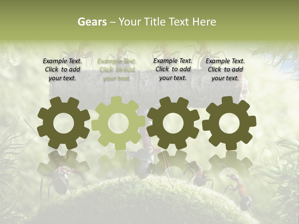 Heavy Clo Eup Fairytale PowerPoint Template