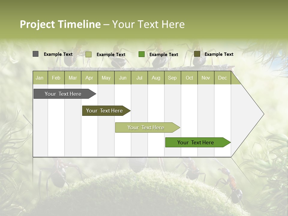 Heavy Clo Eup Fairytale PowerPoint Template