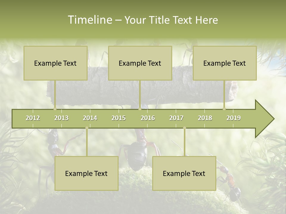 Heavy Clo Eup Fairytale PowerPoint Template