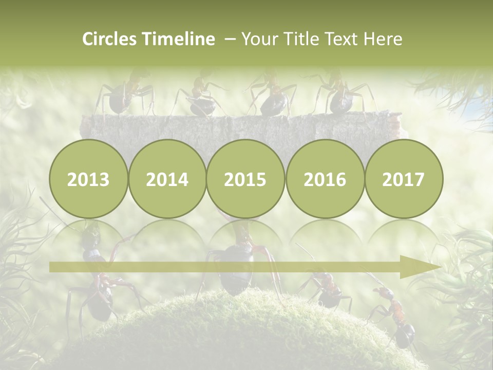 Heavy Clo Eup Fairytale PowerPoint Template