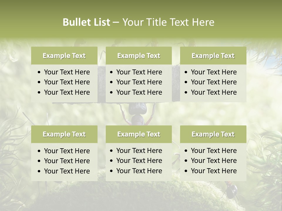 Heavy Clo Eup Fairytale PowerPoint Template