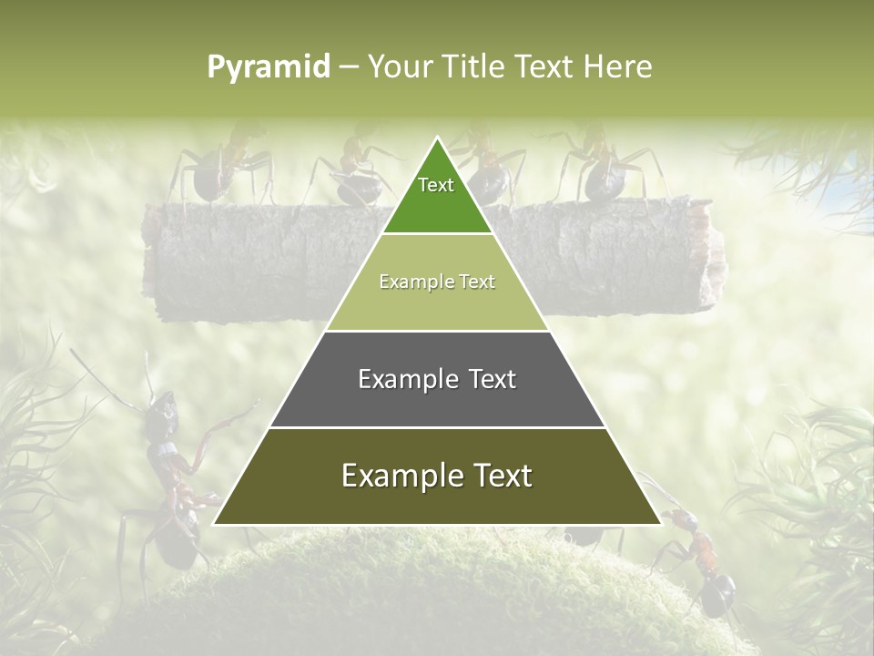 Heavy Clo Eup Fairytale PowerPoint Template