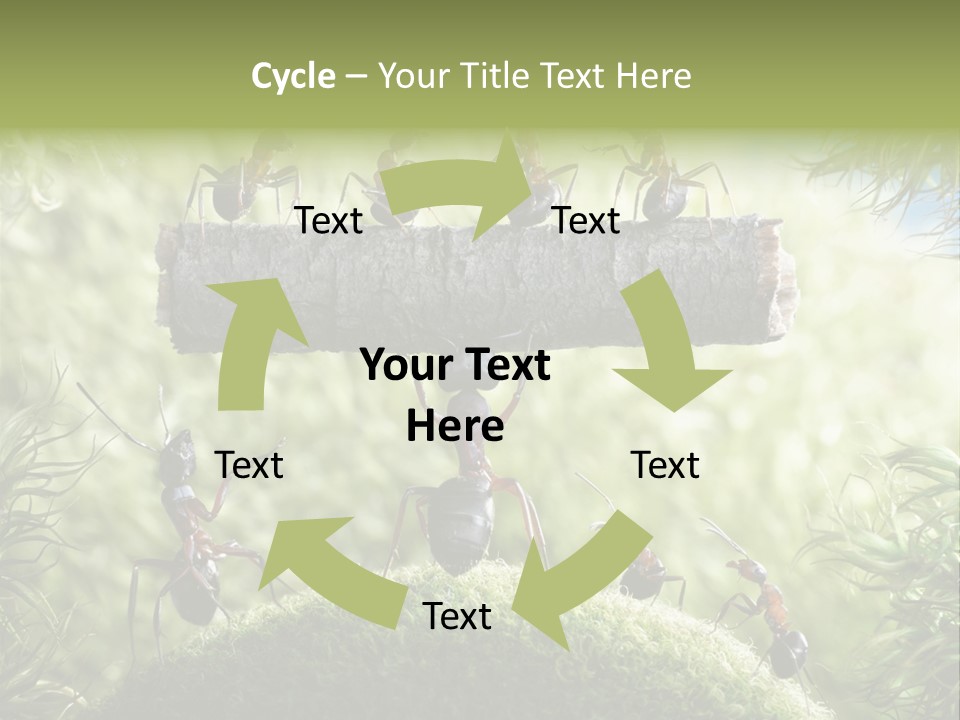 Heavy Clo Eup Fairytale PowerPoint Template