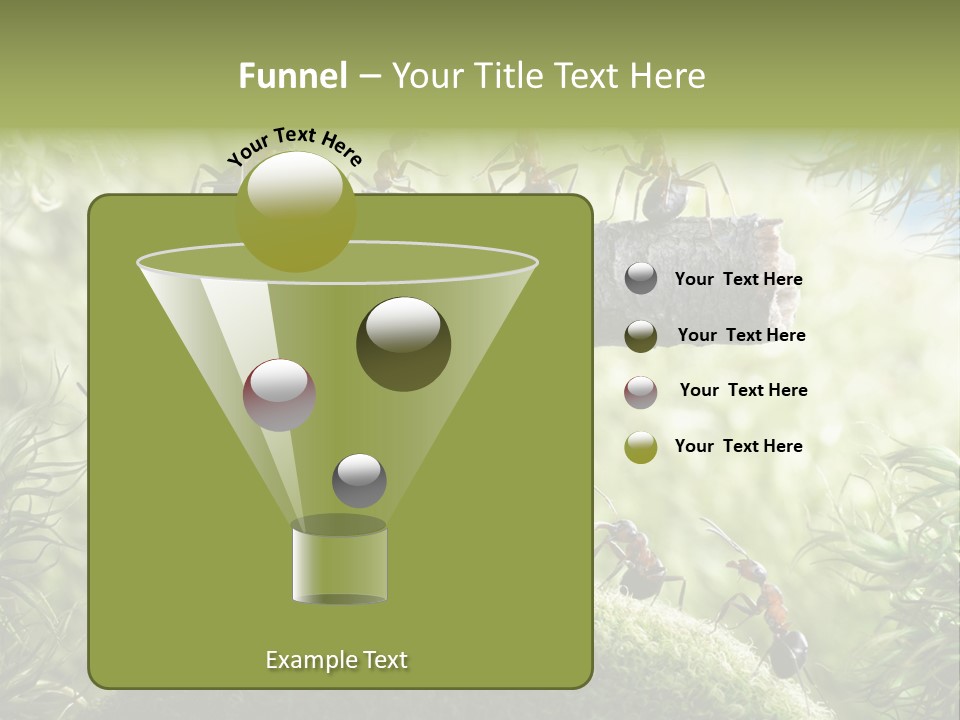 Heavy Clo Eup Fairytale PowerPoint Template