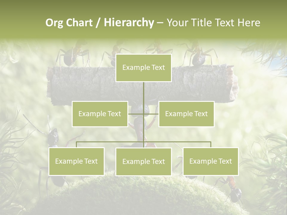 Heavy Clo Eup Fairytale PowerPoint Template