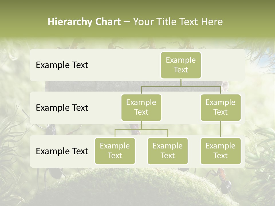Heavy Clo Eup Fairytale PowerPoint Template