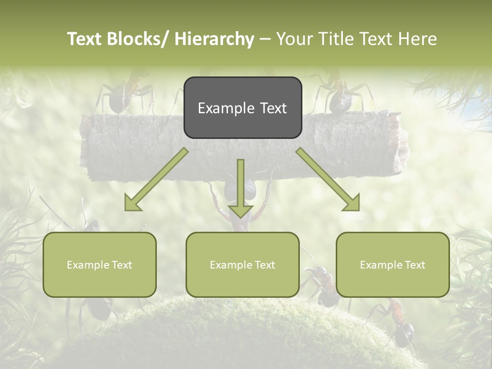 Heavy Clo Eup Fairytale PowerPoint Template