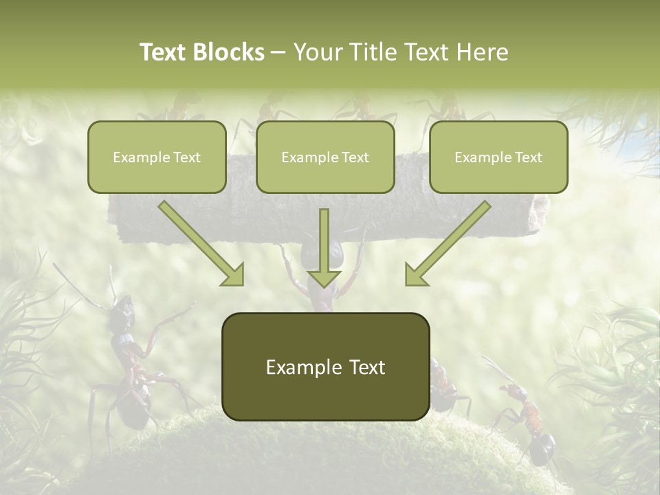 Heavy Clo Eup Fairytale PowerPoint Template