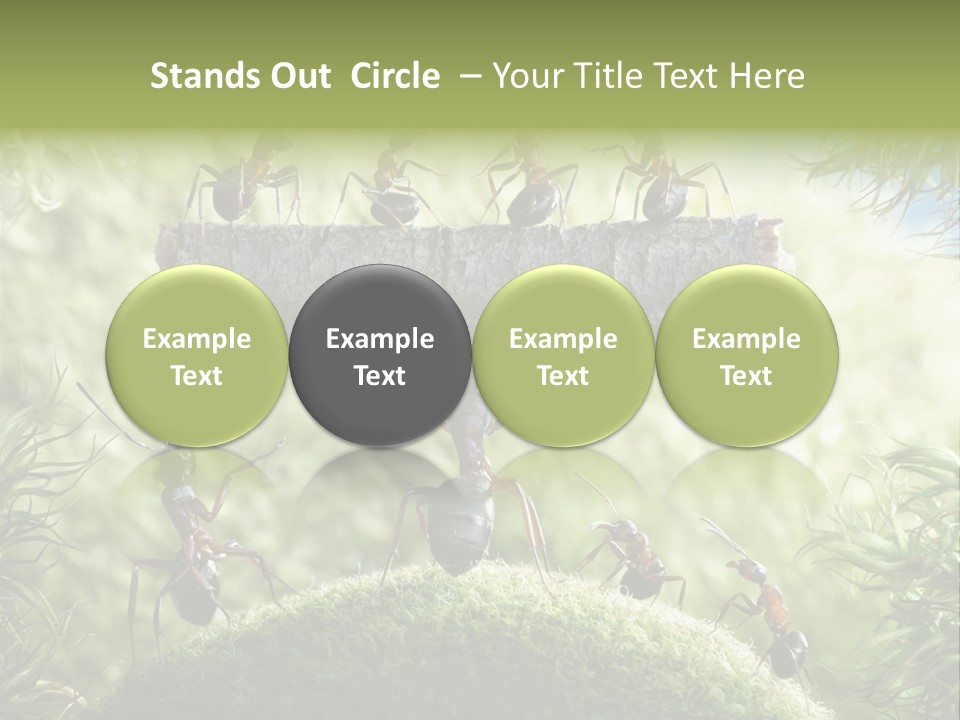 Heavy Clo Eup Fairytale PowerPoint Template