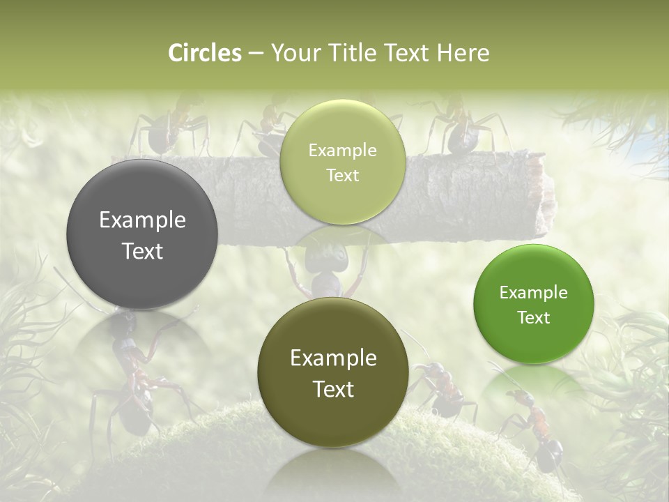 Heavy Clo Eup Fairytale PowerPoint Template