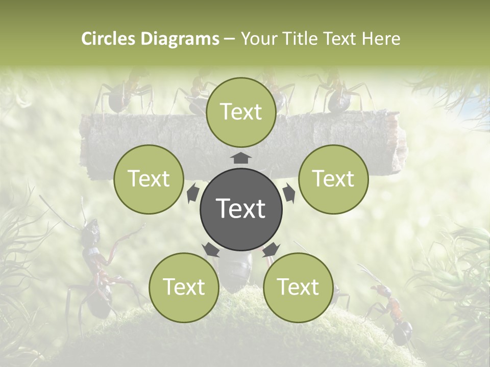 Heavy Clo Eup Fairytale PowerPoint Template