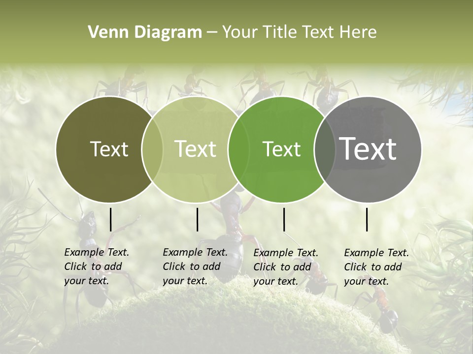 Heavy Clo Eup Fairytale PowerPoint Template