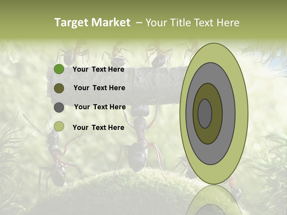 Heavy Clo Eup Fairytale PowerPoint Template