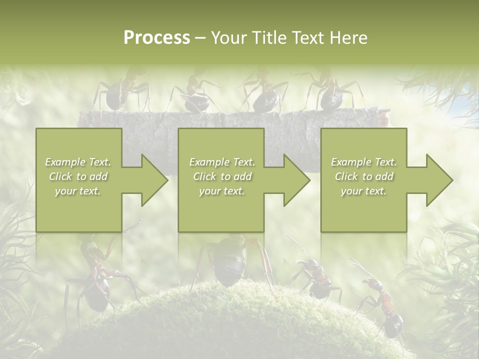 Heavy Clo Eup Fairytale PowerPoint Template