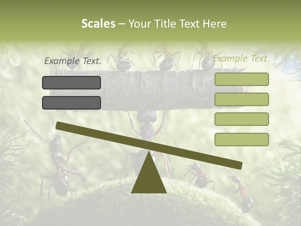 Heavy Clo Eup Fairytale PowerPoint Template