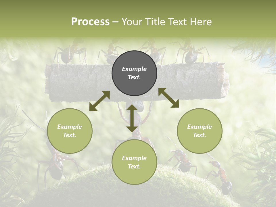 Heavy Clo Eup Fairytale PowerPoint Template