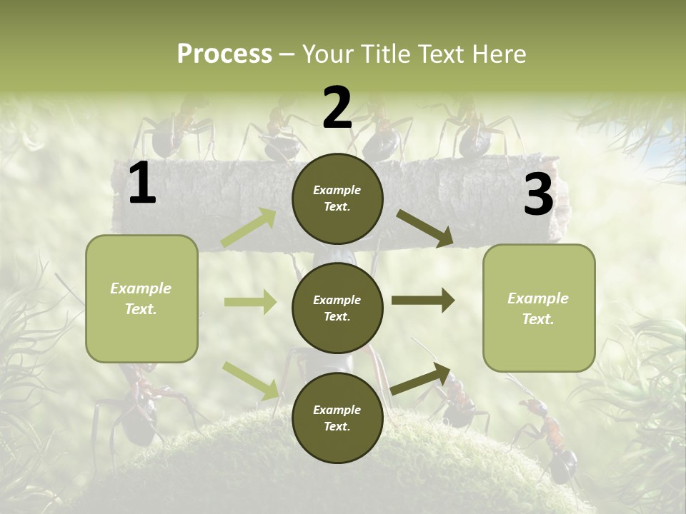 Heavy Clo Eup Fairytale PowerPoint Template