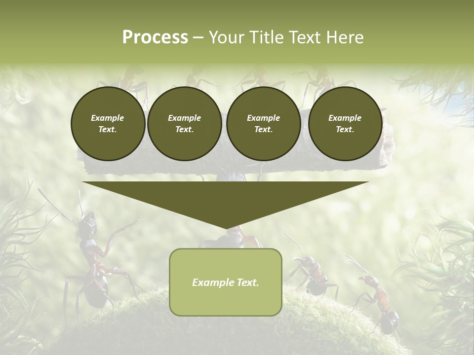 Heavy Clo Eup Fairytale PowerPoint Template