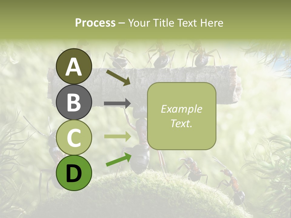 Heavy Clo Eup Fairytale PowerPoint Template