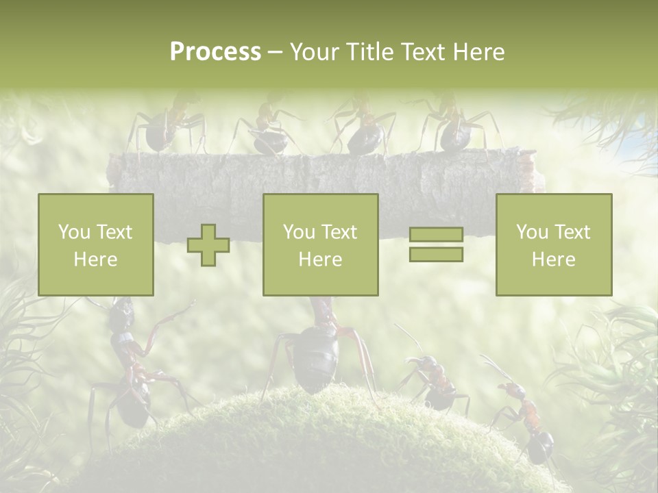 Heavy Clo Eup Fairytale PowerPoint Template