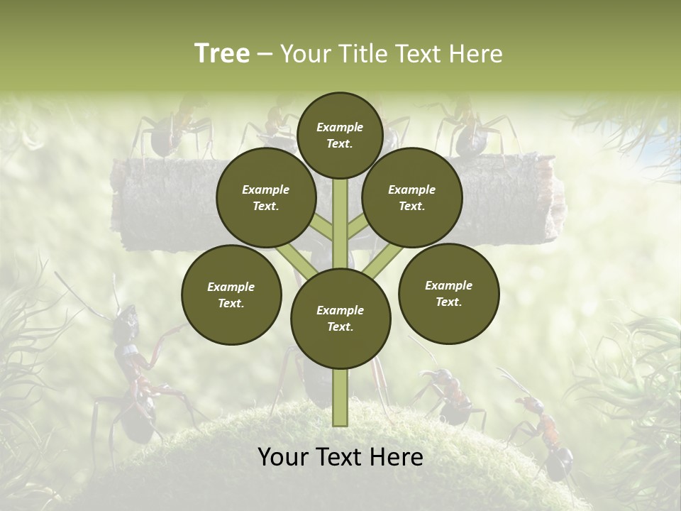 Heavy Clo Eup Fairytale PowerPoint Template