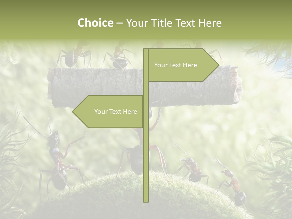 Heavy Clo Eup Fairytale PowerPoint Template