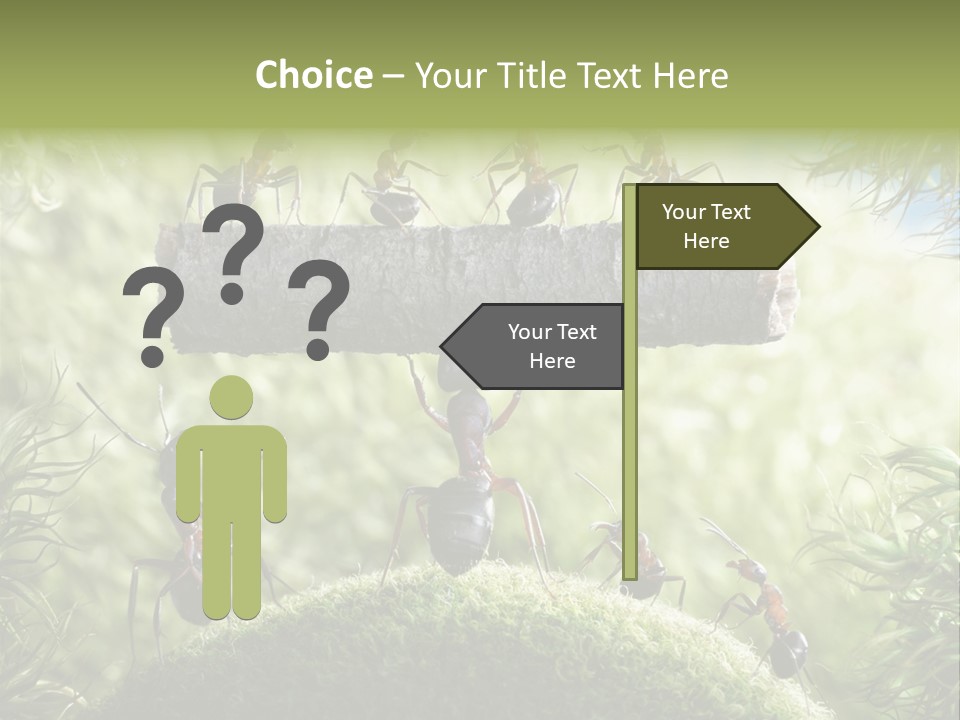 Heavy Clo Eup Fairytale PowerPoint Template