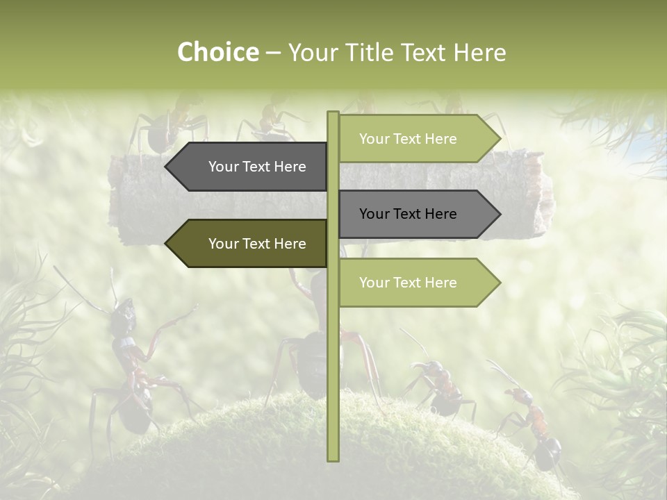 Heavy Clo Eup Fairytale PowerPoint Template