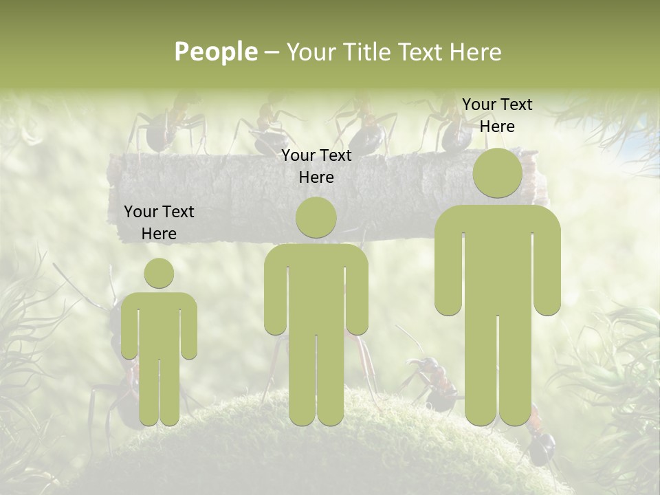 Heavy Clo Eup Fairytale PowerPoint Template