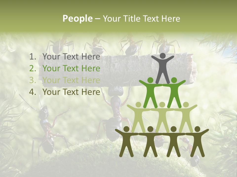 Heavy Clo Eup Fairytale PowerPoint Template