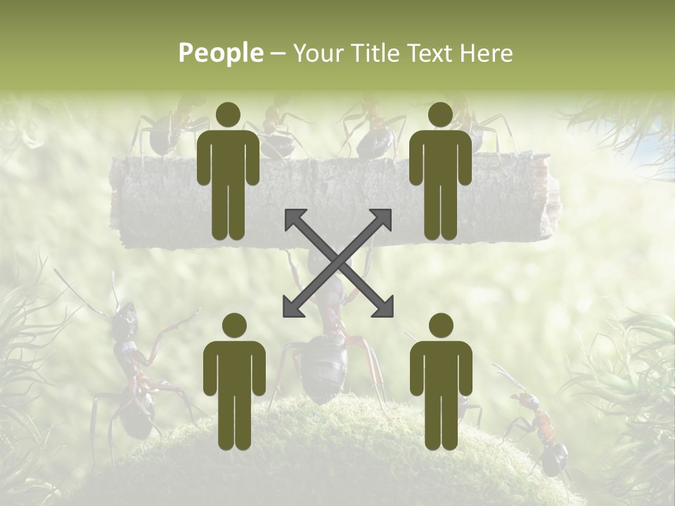 Heavy Clo Eup Fairytale PowerPoint Template