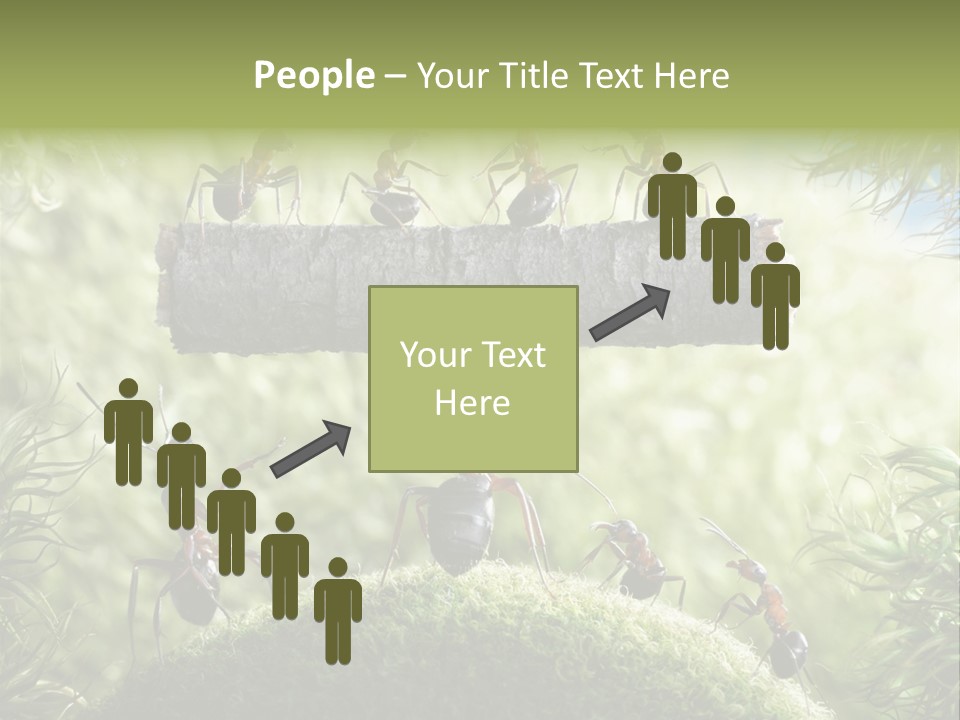 Heavy Clo Eup Fairytale PowerPoint Template