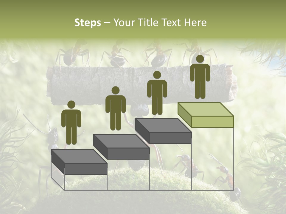 Heavy Clo Eup Fairytale PowerPoint Template