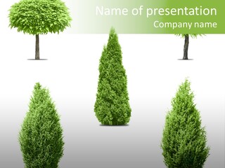Backgrounds Set Old PowerPoint Template