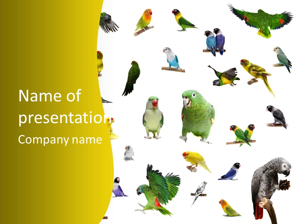 Wildlife Animal Themes Mealy Amazon PowerPoint Template