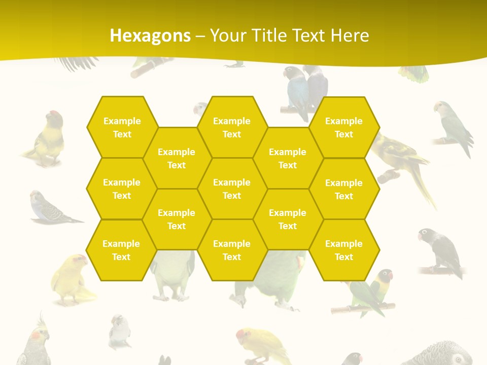 Wildlife Animal Themes Mealy Amazon PowerPoint Template