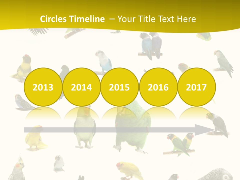 Wildlife Animal Themes Mealy Amazon PowerPoint Template