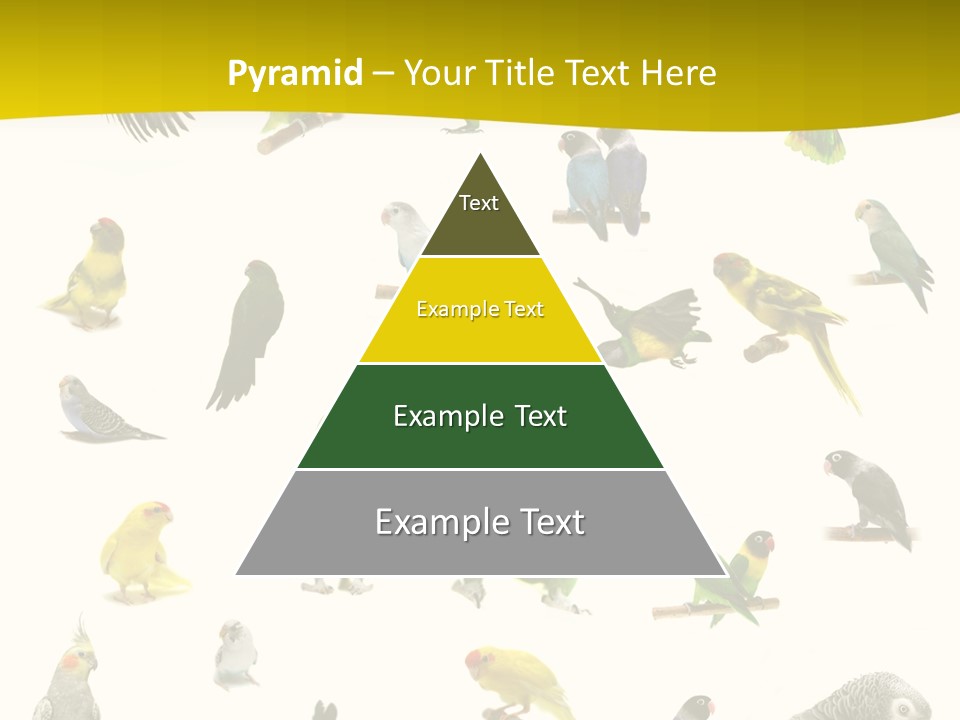 Wildlife Animal Themes Mealy Amazon PowerPoint Template