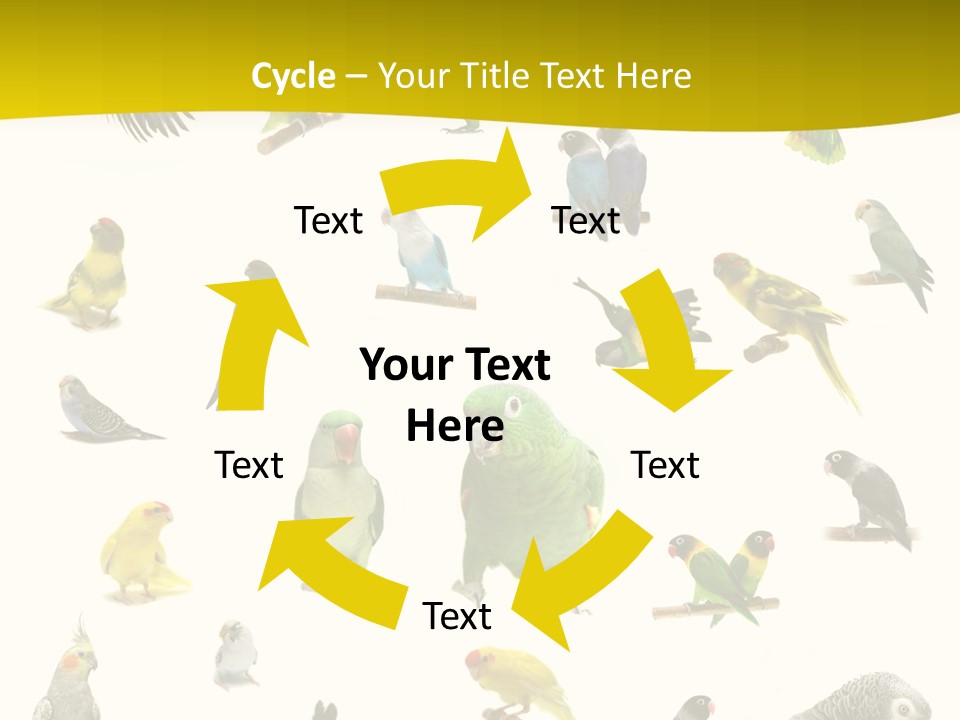 Wildlife Animal Themes Mealy Amazon PowerPoint Template