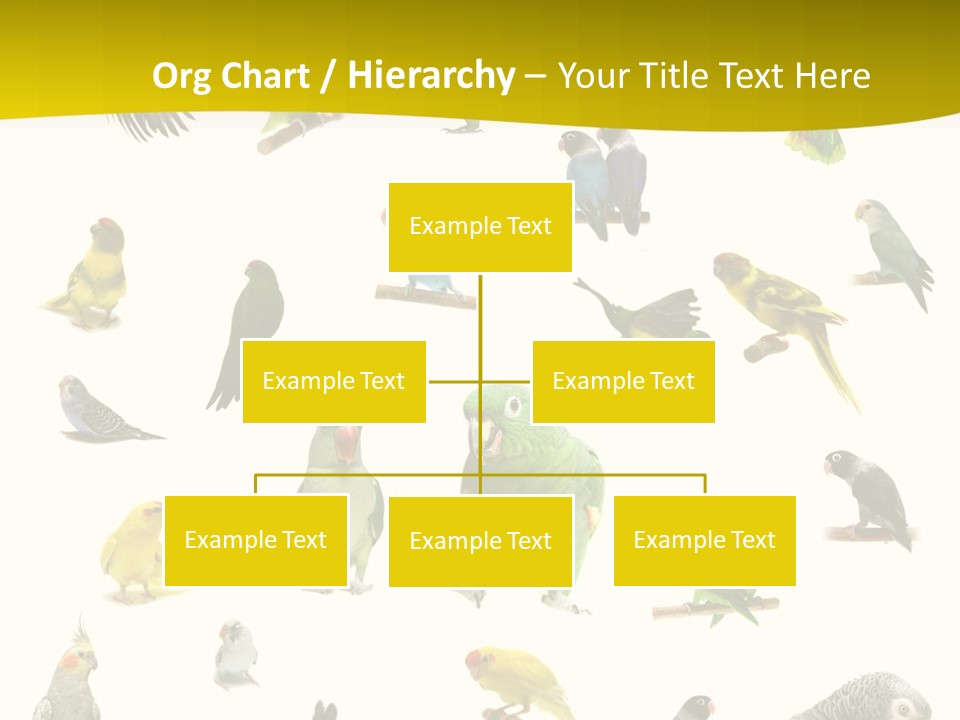 Wildlife Animal Themes Mealy Amazon PowerPoint Template