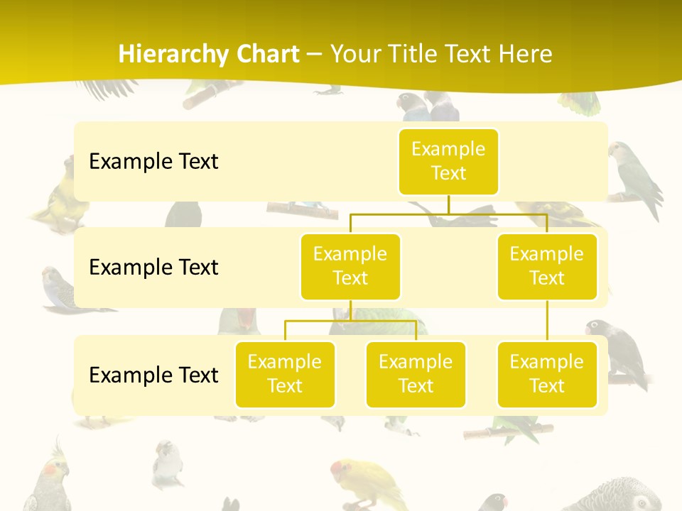 Wildlife Animal Themes Mealy Amazon PowerPoint Template