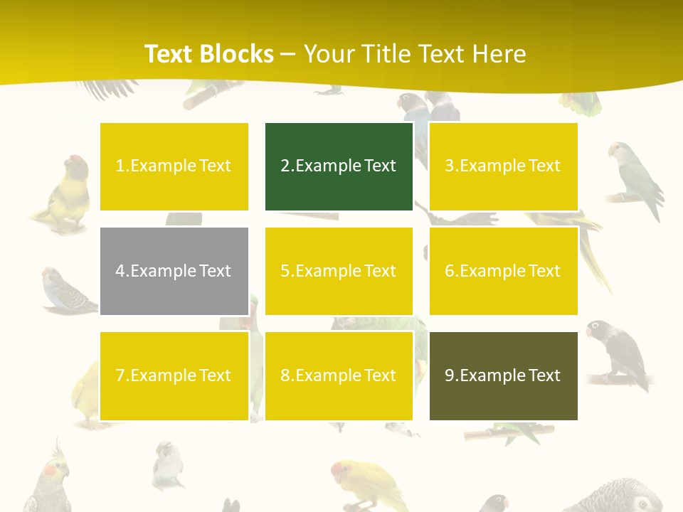 Wildlife Animal Themes Mealy Amazon PowerPoint Template