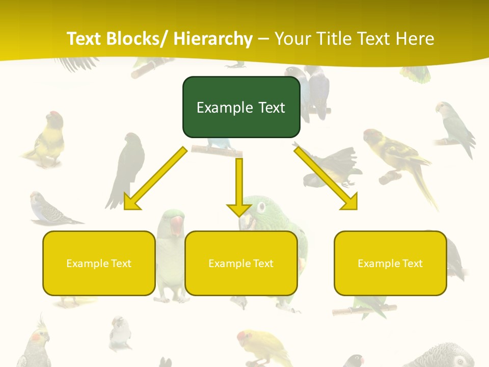 Wildlife Animal Themes Mealy Amazon PowerPoint Template